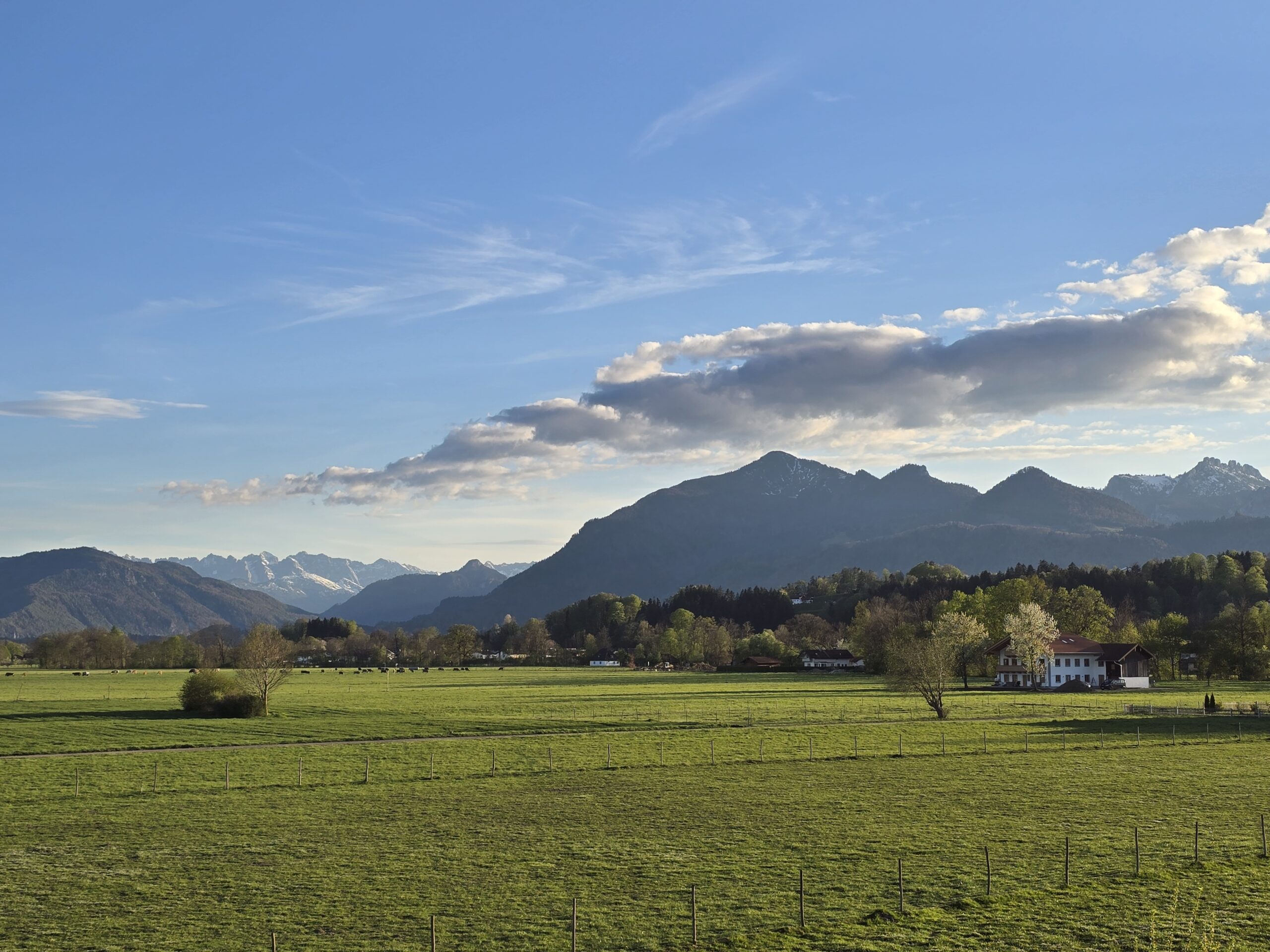 Weitblick auf grüne Wiesen mit den Chiemgauer Alpen im Hintergrund – Ferienwohnung am Chiemsee